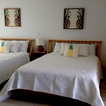 Pineapple Shores Inn Unit 1 代托纳海滩 外观 照片